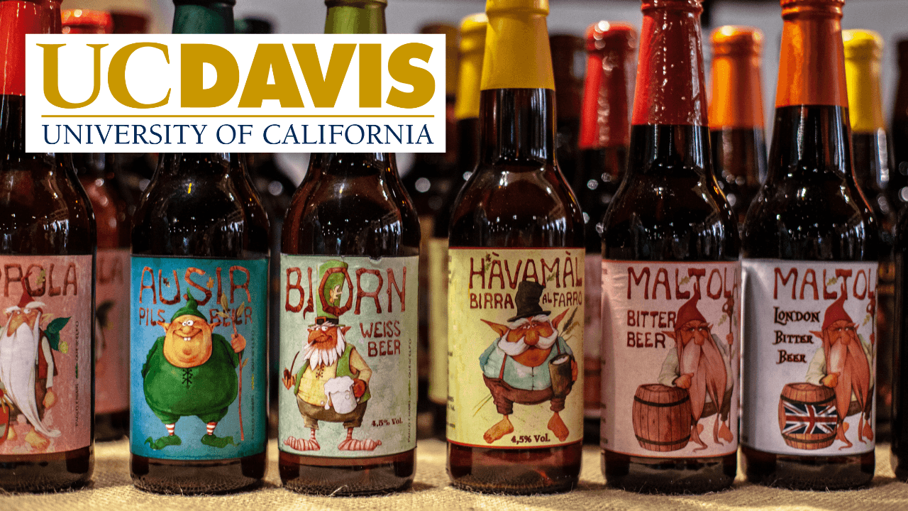 Beer Quality: Flavor