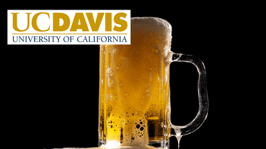 Beer Quality: Foam