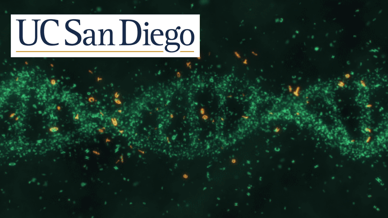 Bioinformatics Capstone: Big Data in Biology
