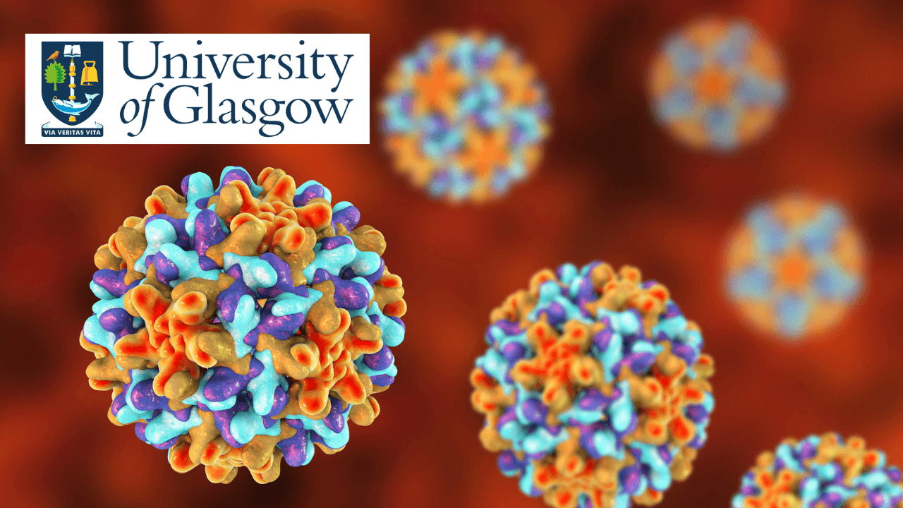 Biomedical Visualisation