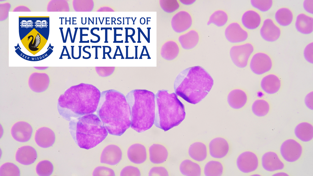 Blood Film Morphology - A Practical Guide