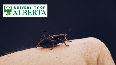 Bugs 101: Insect-Human Interactions