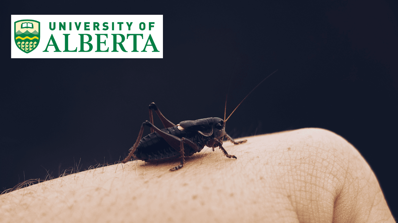 Bugs 101: Insect-Human Interactions