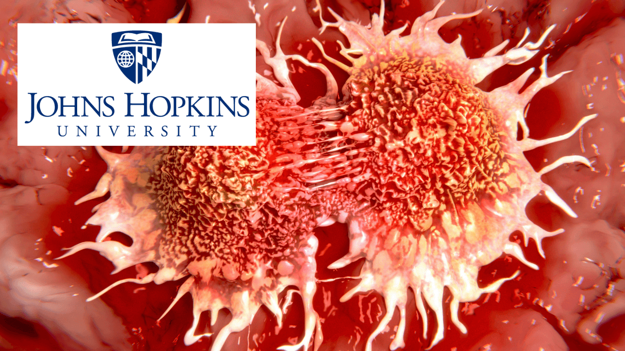 Understanding Cancer Metastasis