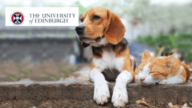 The Truth About Cats and Dogs: Understanding Pet Behavior