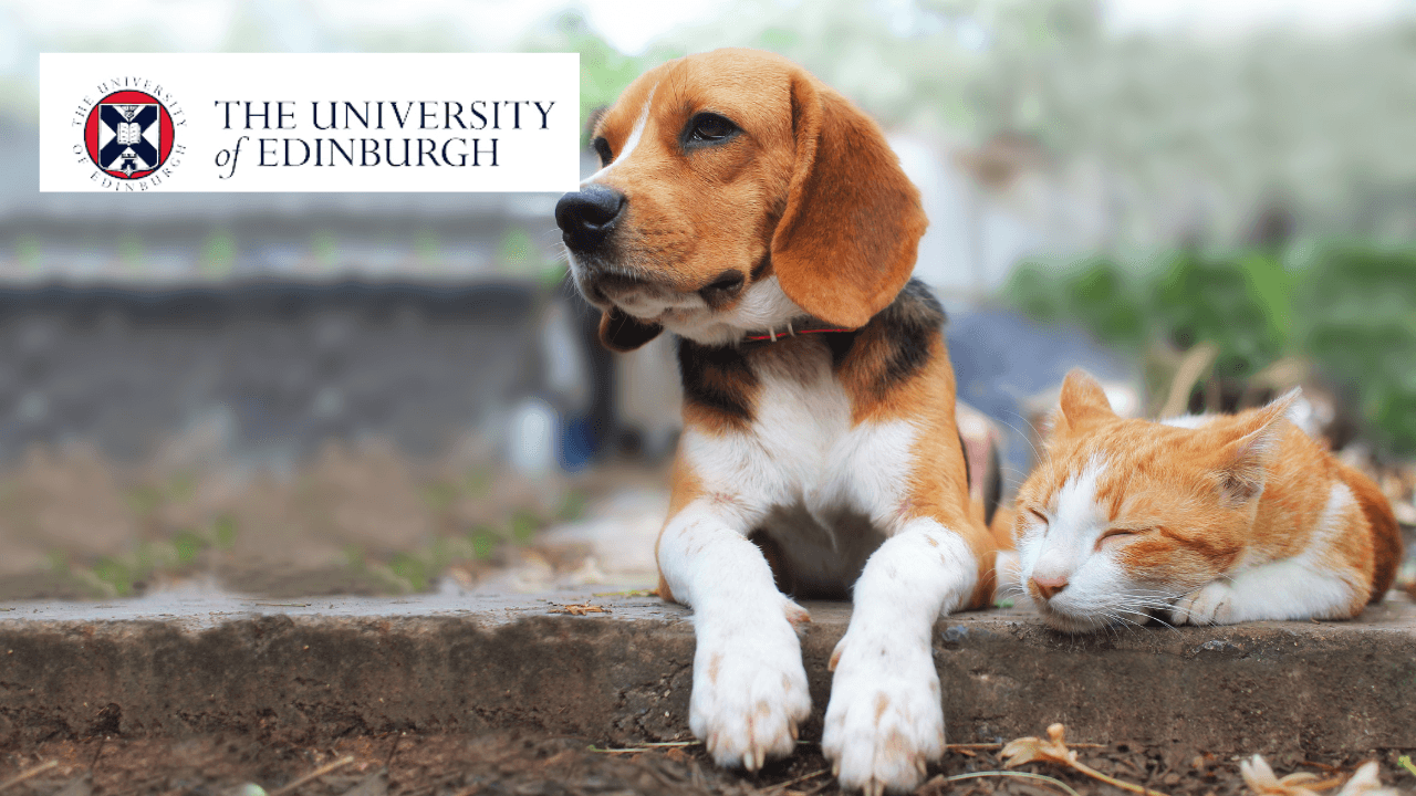The Truth About Cats and Dogs: Understanding Pet Behavior