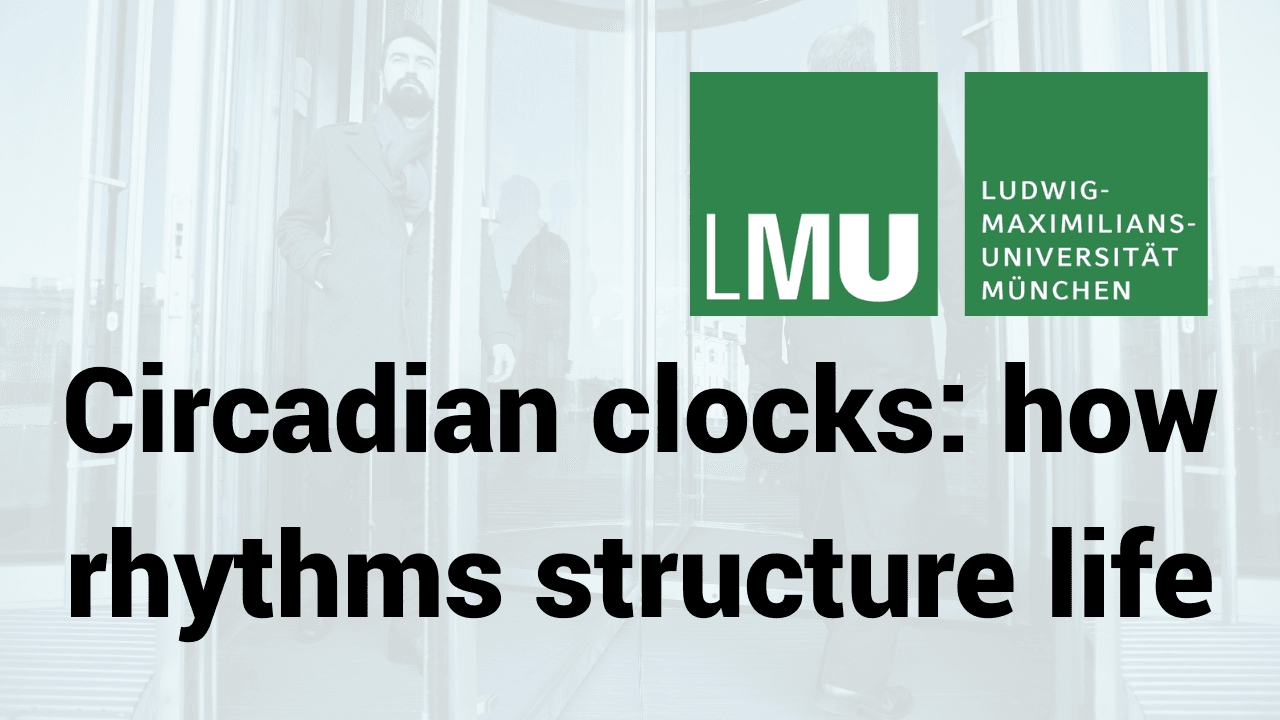 Circadian clocks: how rhythms structure life