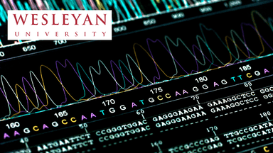 Introduction to Complex Analysis