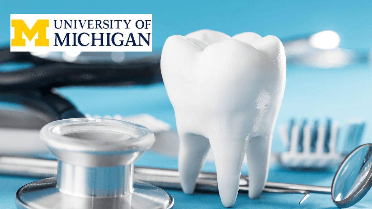 Dentistry 101: Exploring the Dental Profession