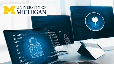 Securing Digital Democracy: Protect Election Integrity