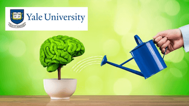 Overcoming Dyslexia: Research & Strategies