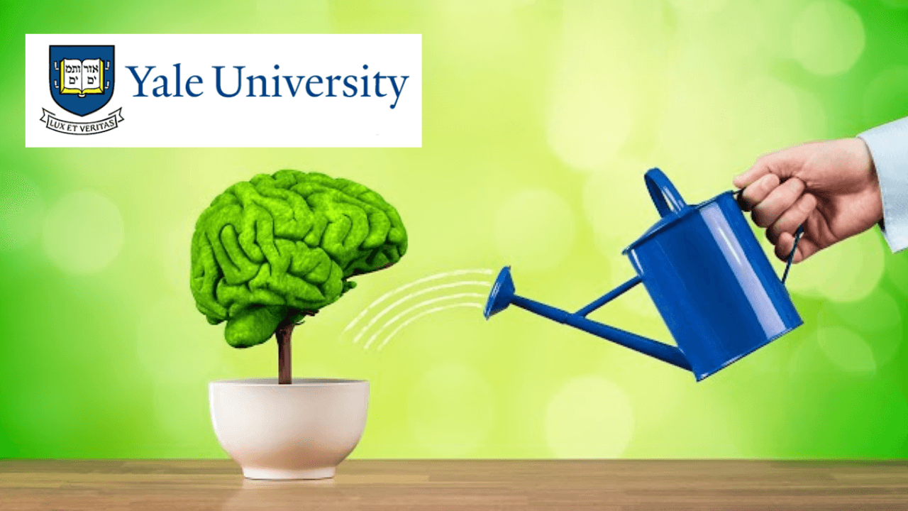 Overcoming Dyslexia: Research & Strategies
