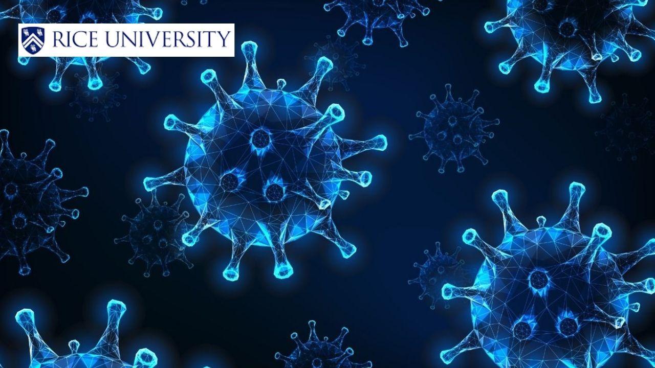 Immune Defense: T-Cells & Cell Signaling