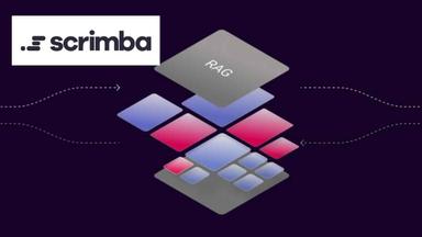 Learn Embeddings and Vector Databases