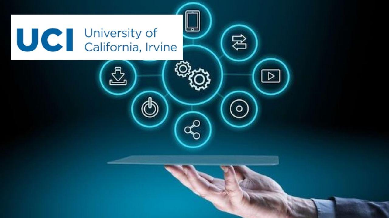 Salesforce Capstone: Organization Integration