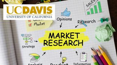 Market Research