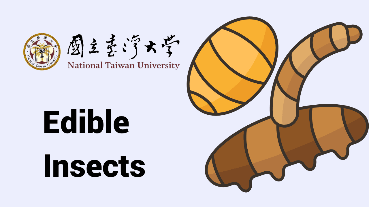 Edible Insects: Future of Sustainable Protein