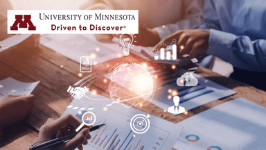 Enterprise Systems