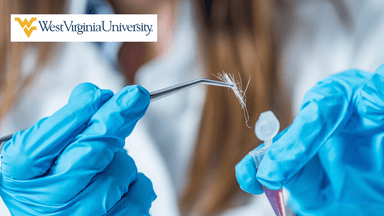 Forensic Accounting and Fraud Examination