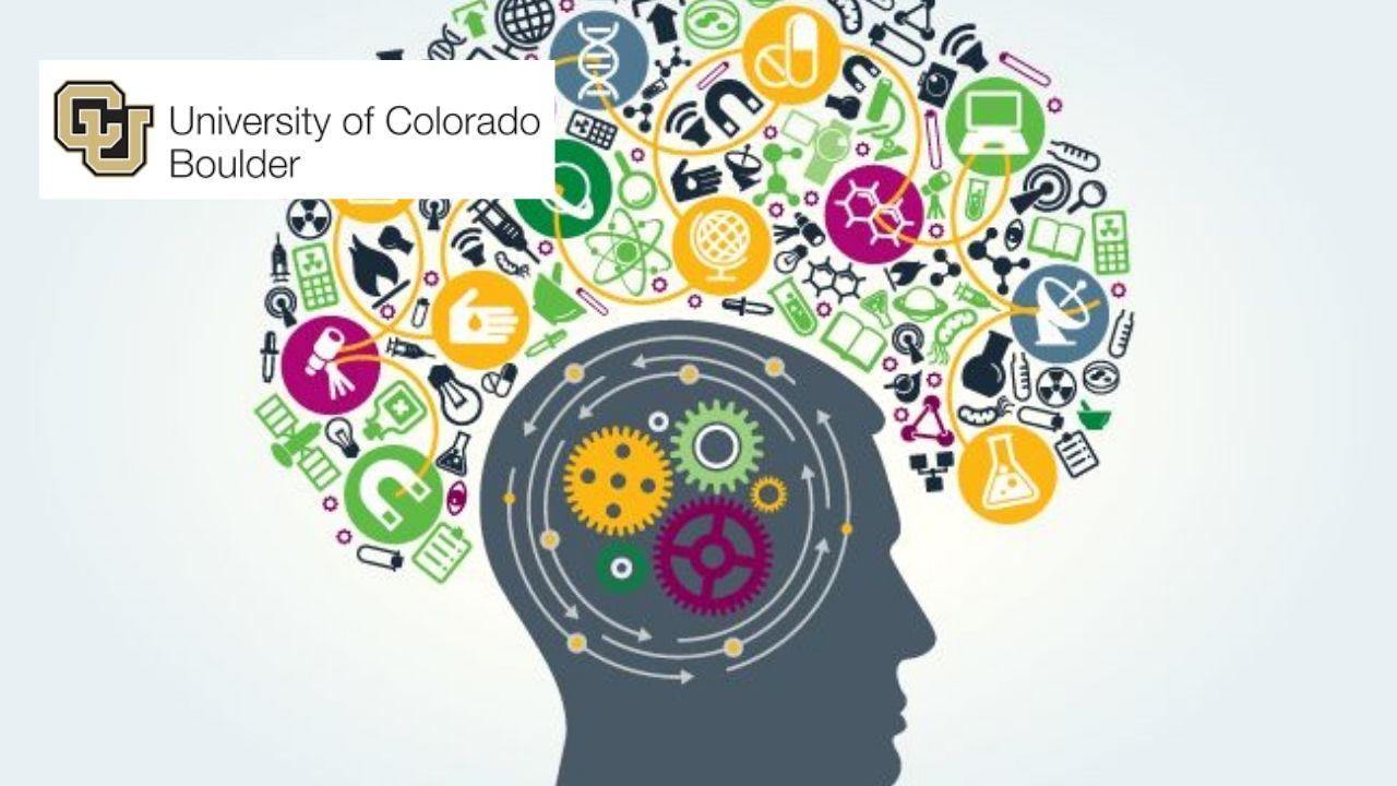 Neuroscience of Leadership: Leading with Your Brain