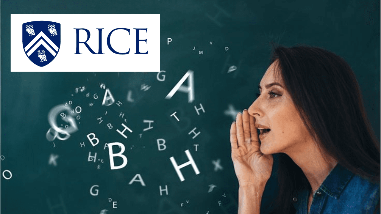 English Academic Prep for Undergrad