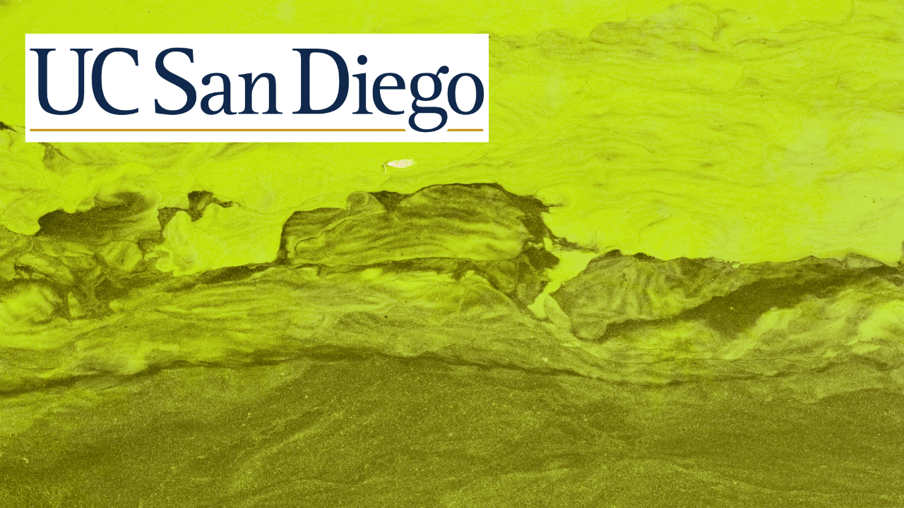 Algal Blooms and Proliferations