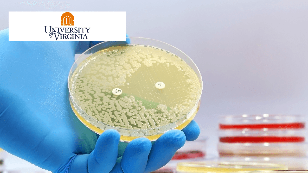 Bacterial Bioinformatics