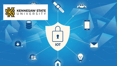 Cybersecurity and the Internet of Things
