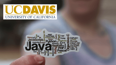 JavaScript Basics