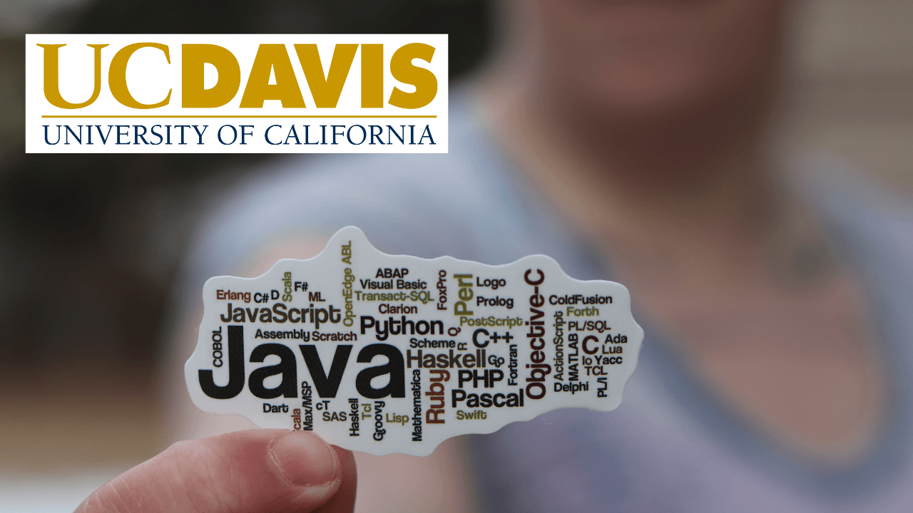 JavaScript Basics