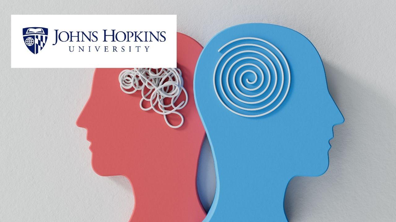 Foundations of Neuroscience