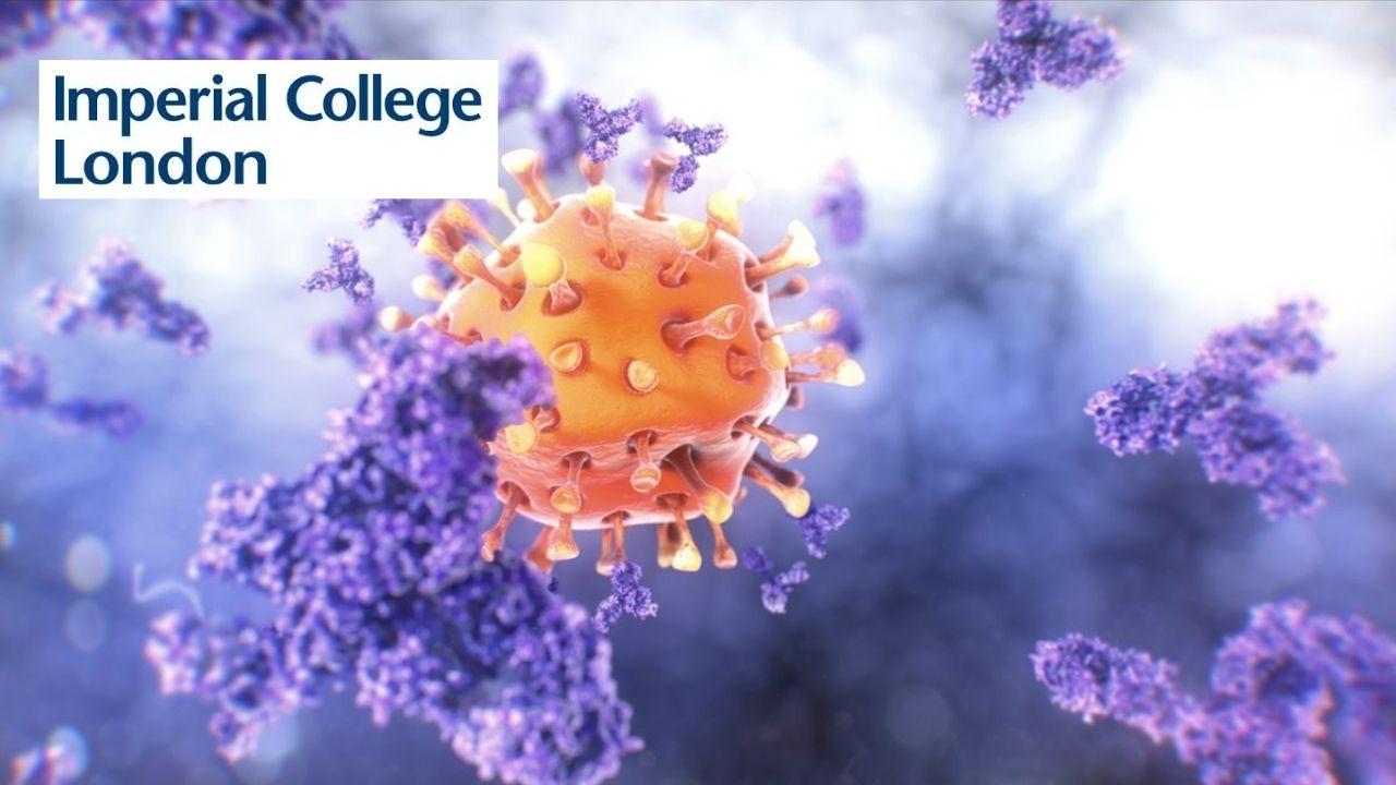 Immunology: The Immune System and its Failures