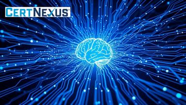 Build Decision Trees, SVMs, and Artificial Neural Networks
