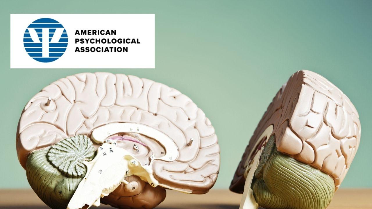 Psychological Research Specialization