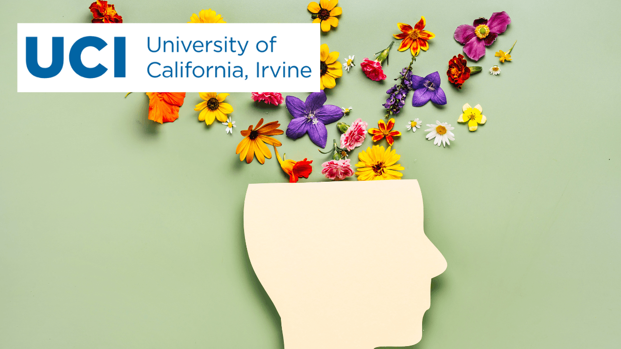 Life 101: Essential Skills for Mental and Physical Wellness