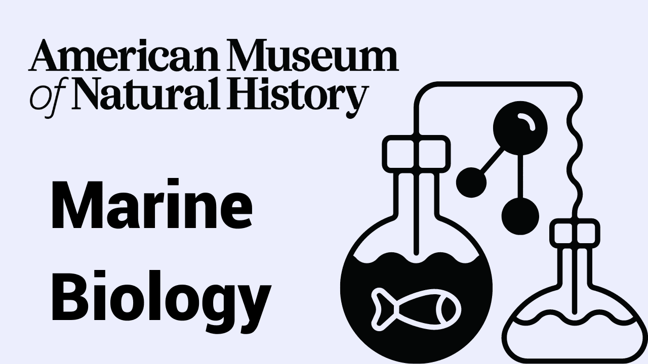 Marine Biology