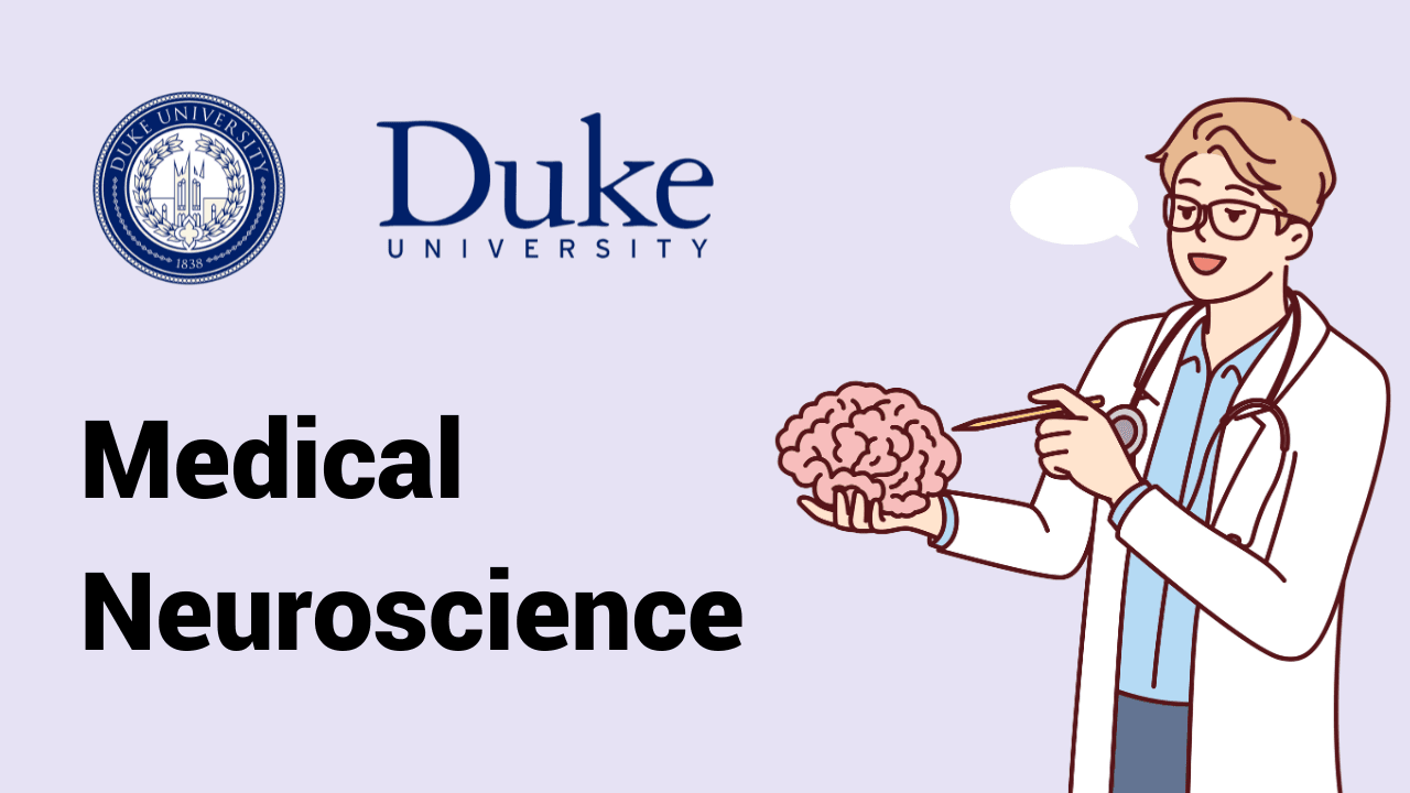 Medical Neuroscience