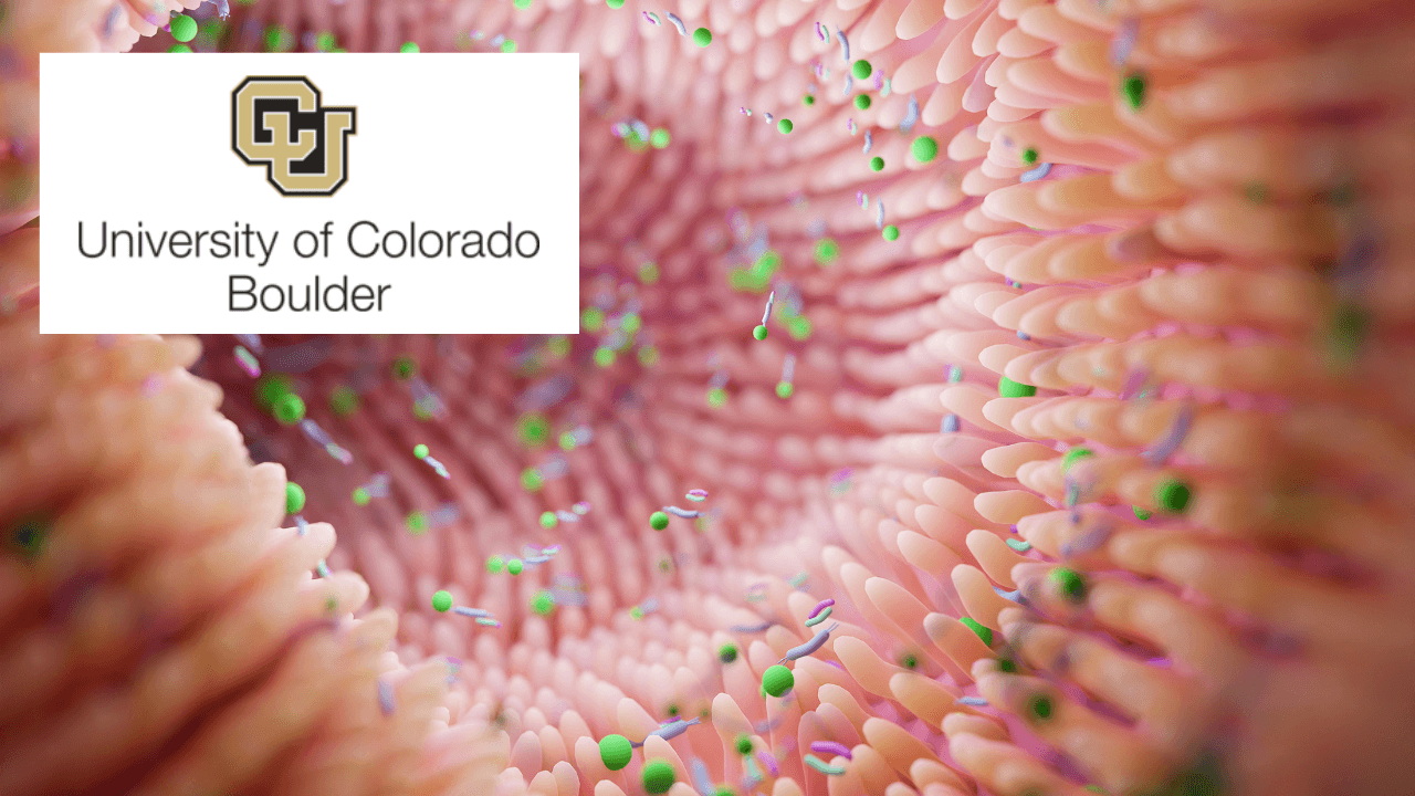 Gut Check: Exploring Your Microbiome