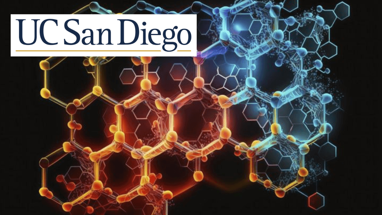 Molecular Evolution (Bioinformatics IV)