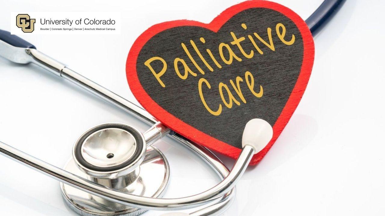 What is Palliative Care?