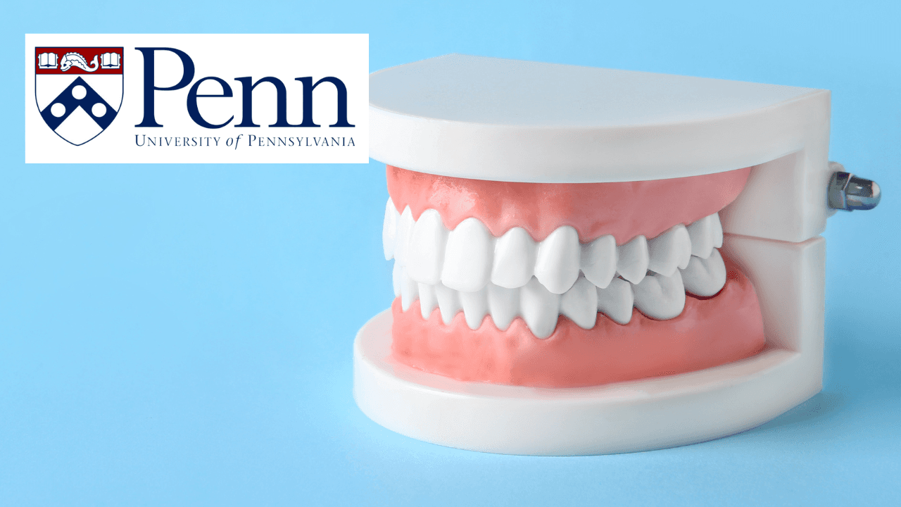 The Oral Cavity: Portal to Health and Disease
