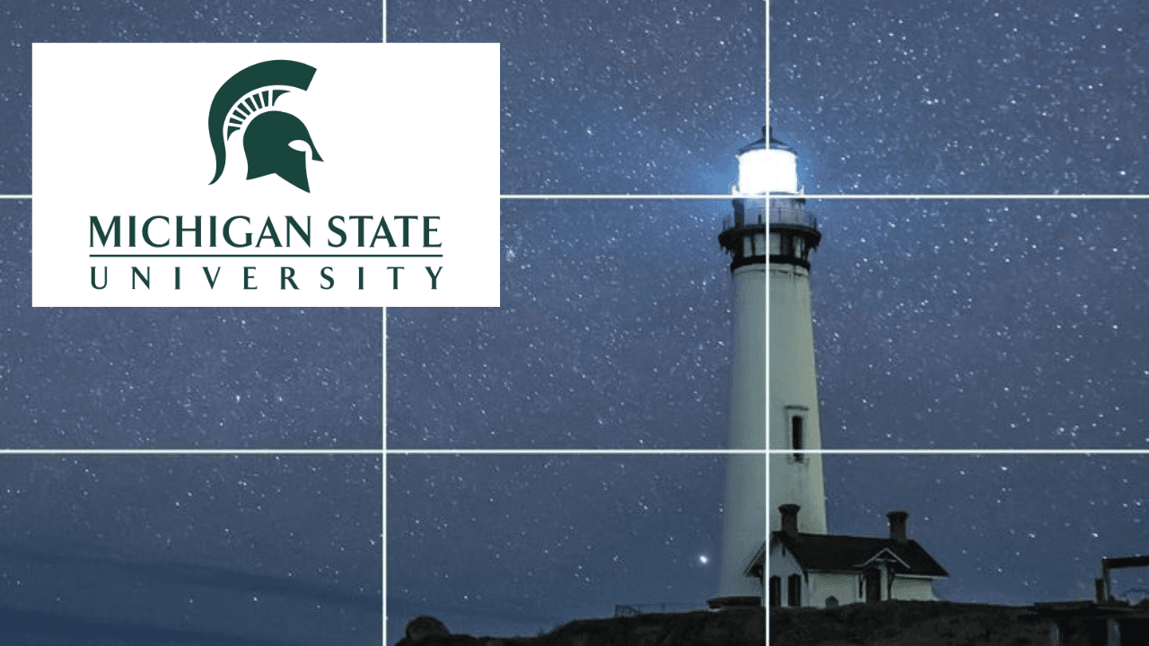 Photo Composition and Digital Image Editing Principles