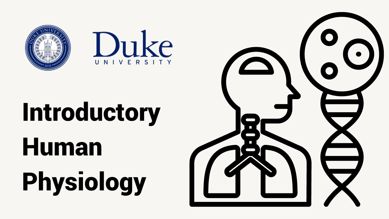 Mastering Human Physiology: Body Systems and Functions