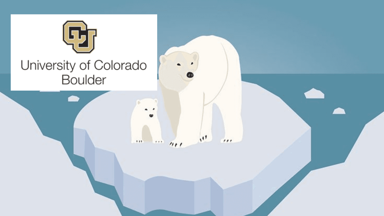 Polar Peril
