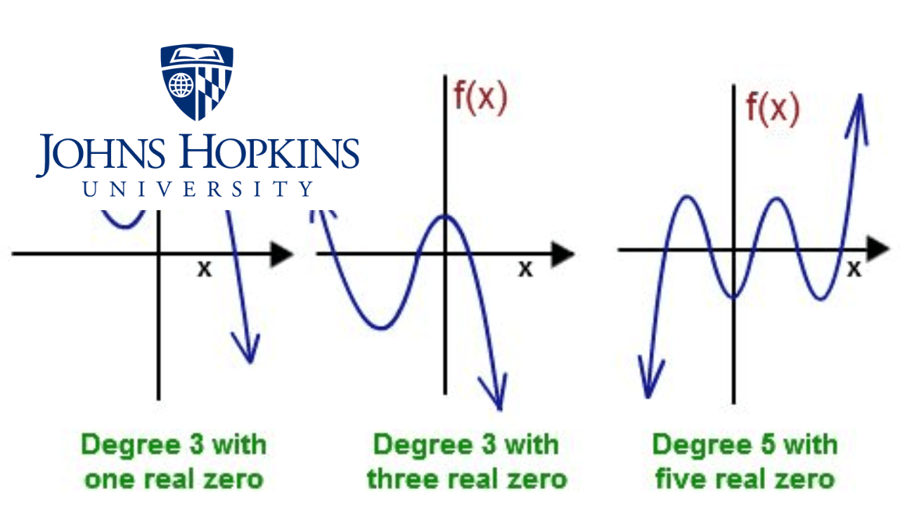 Algebra: Elementary to Advanced - Polynomials and Roots
