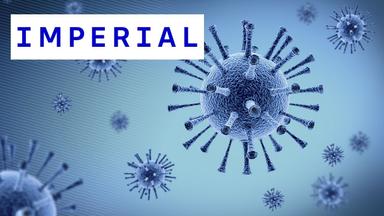 Infectious Disease Modelling