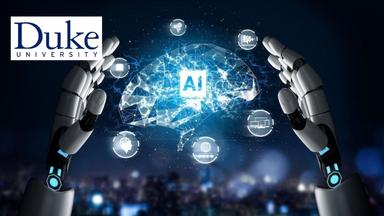 Explainable AI (XAI)