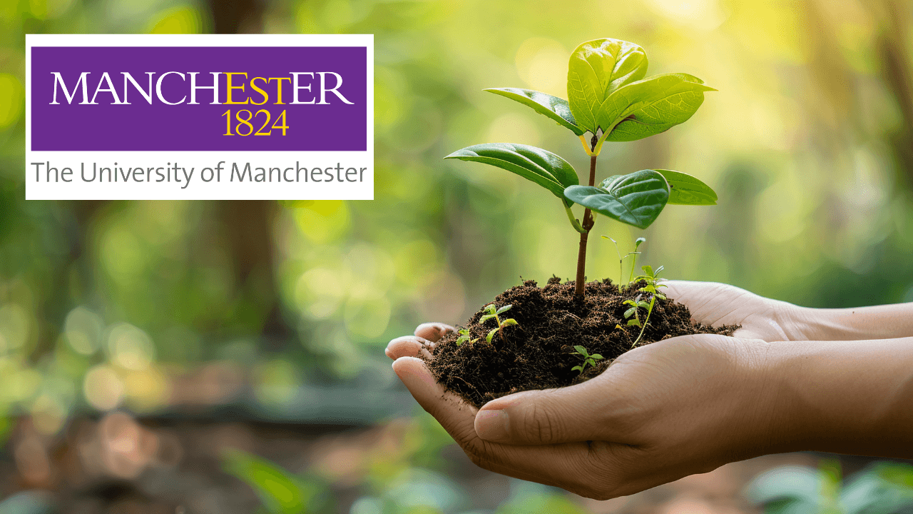 Managing Responsibly: Sustainability, Ethics, and Leadership