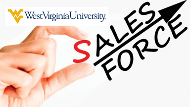 Sales Force Management