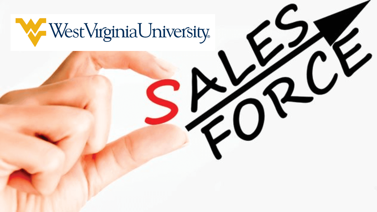 Sales Force Management
